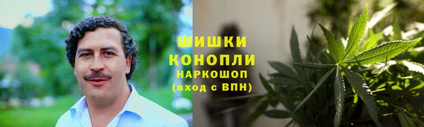 ешки Алексеевка