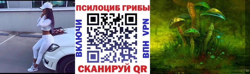 omg ссылки  Нижние Серги  Галлюциногенные грибы ЛСД 
